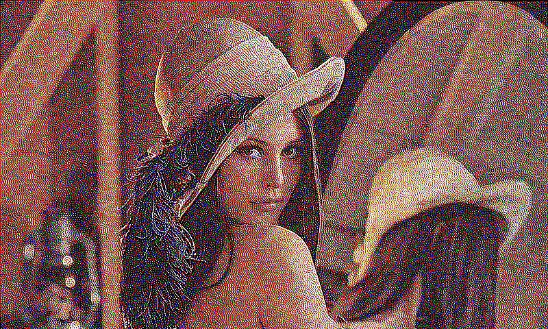 error_diffusion_jarvis_judice_ninke