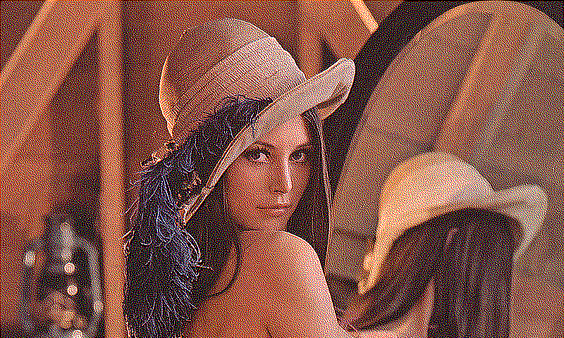 error_diffusion_stucki