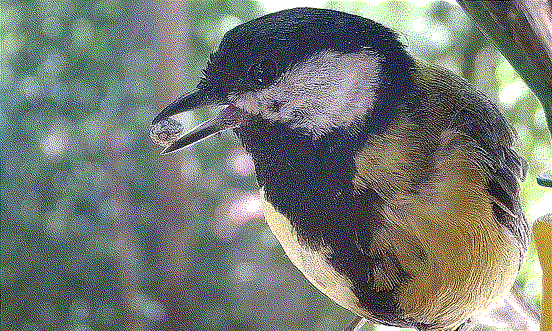 error_diffusion_stucki