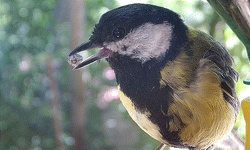 error_diffusion_sierra_2