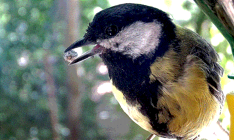 error_diffusion_variable_error_diffusion