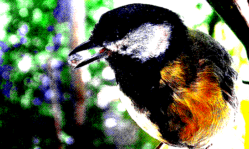 ordered_blue_noise_cached