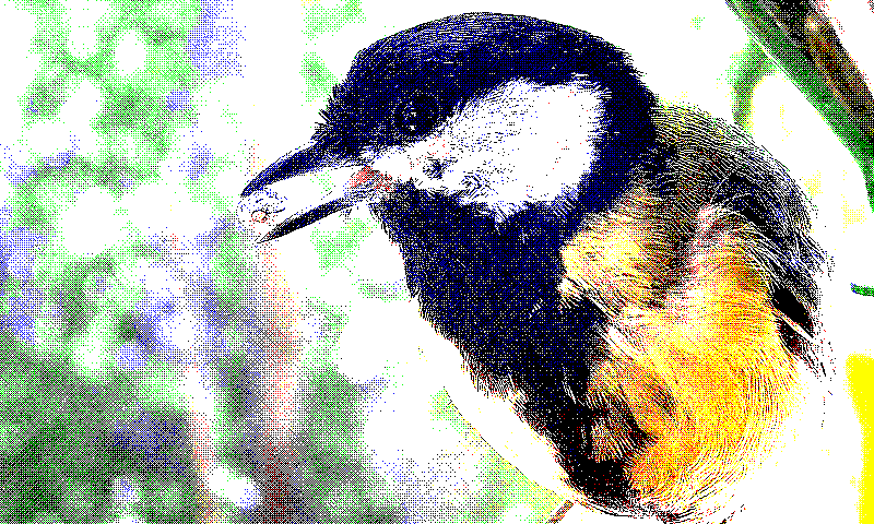 ordered_void_and_cluster_16x16