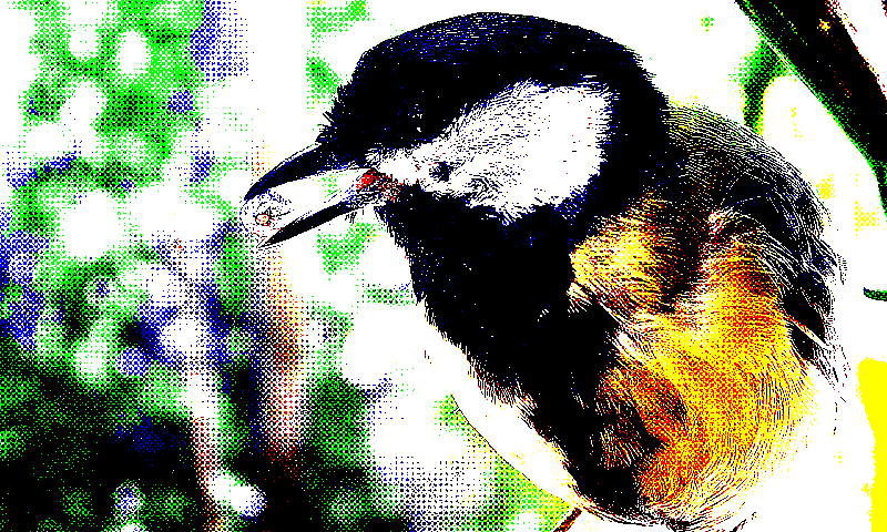 ordered_halftone_dots