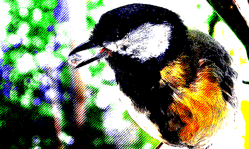 ordered_halftone_lines