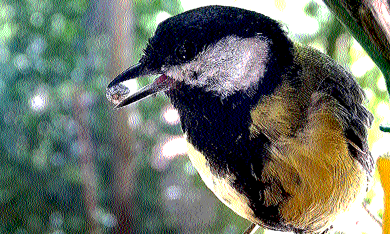 specialized_riemersma_simple