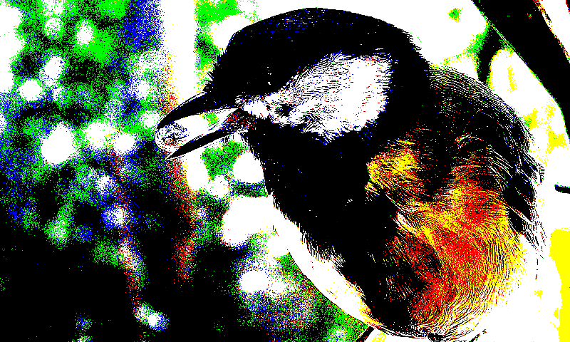 specialized_random_dithering