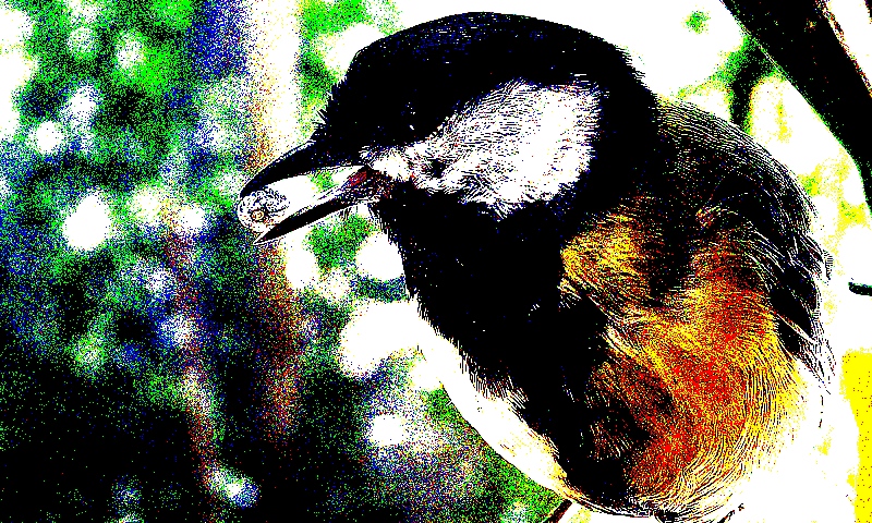 specialized_gaussian_noise