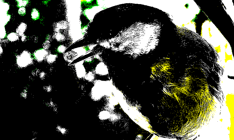 specialized_otsu_threshold