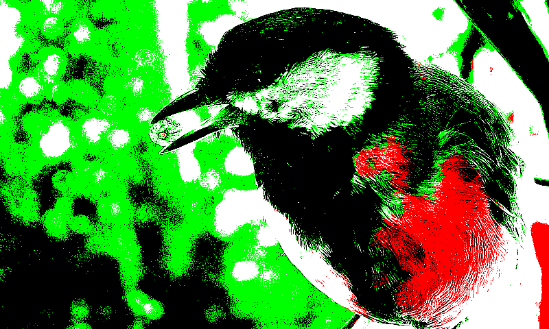 specialized_k_means_quantization