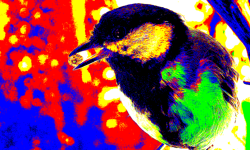 specialized_k_means_direct