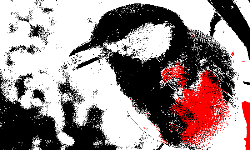 ciede2000_specialized_k_means_quantization