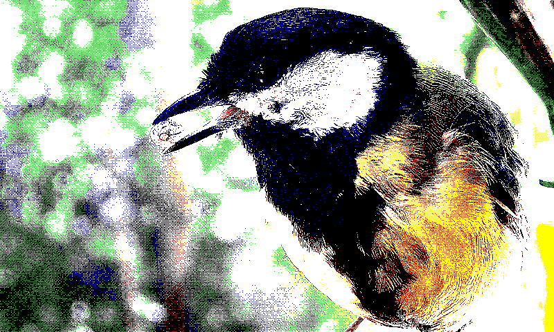 preprocess_combo_light_ordered_bayer_8x8