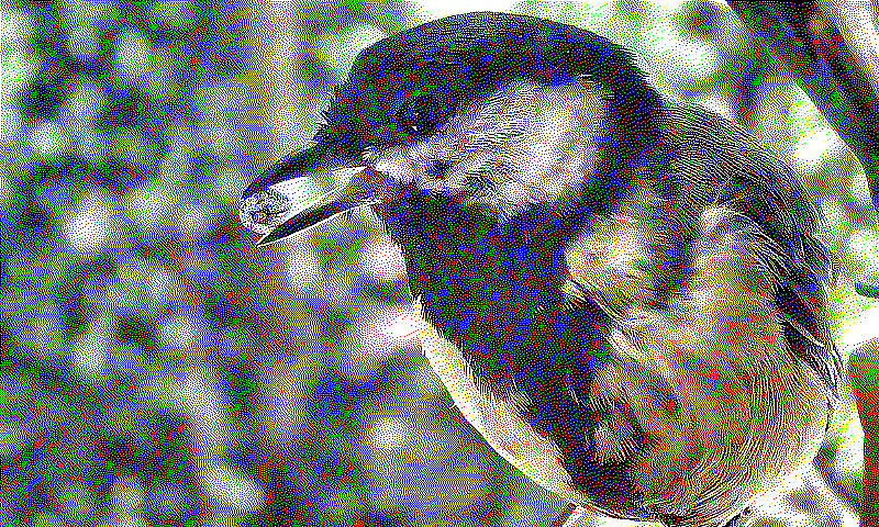 preprocess_combo_medium_error_diffusion_floyd_steinberg