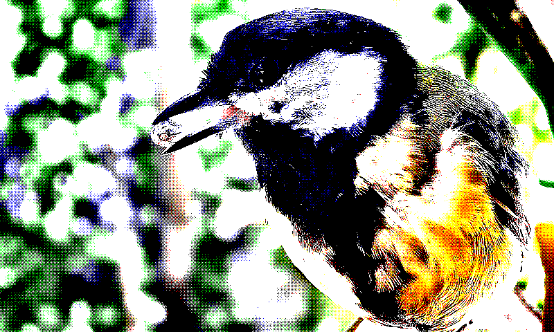 preprocess_combo_medium_ordered_bayer_8x8