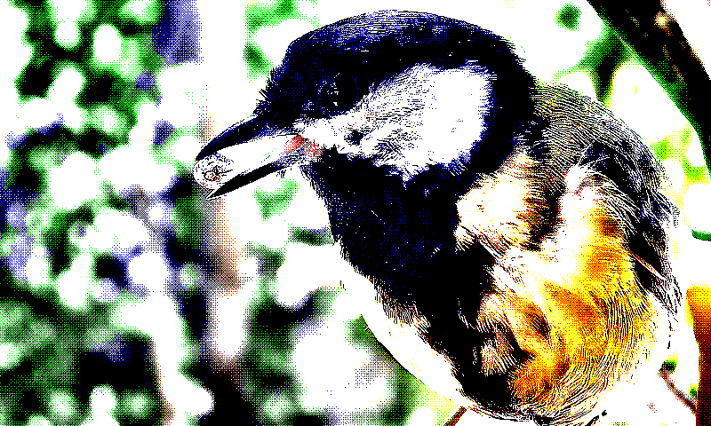 preprocess_combo_strong_ordered_bayer_8x8