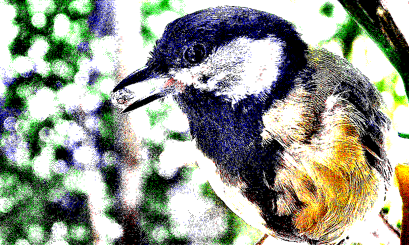 preprocess_clahe_ordered_bayer_8x8