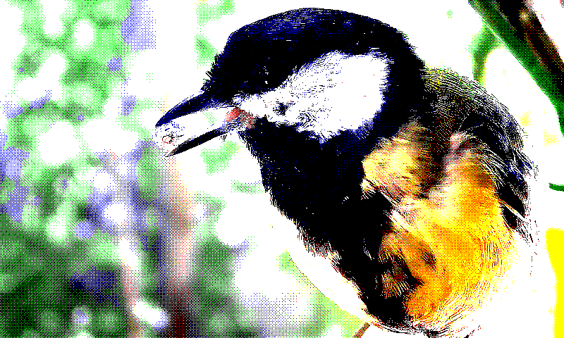 preprocess_bilateral_ordered_bayer_8x8