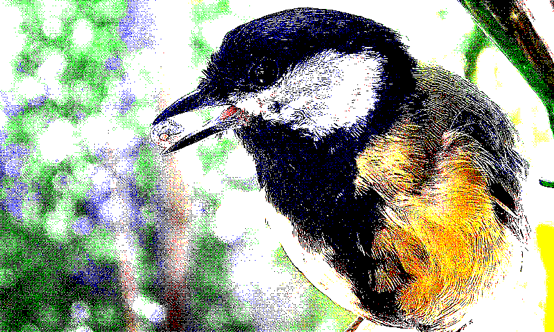 preprocess_sharpen_ordered_bayer_8x8