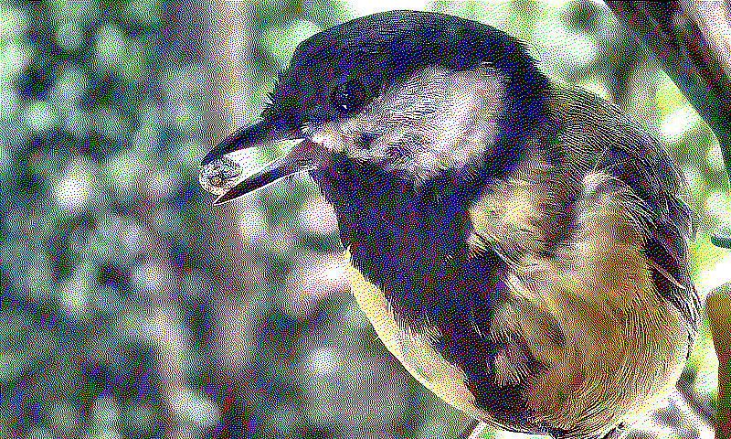 full_combo_combo_medium_hsv_floyd