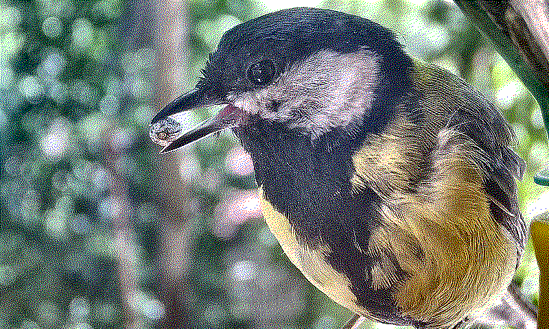 full_combo_clahe_lab_floyd