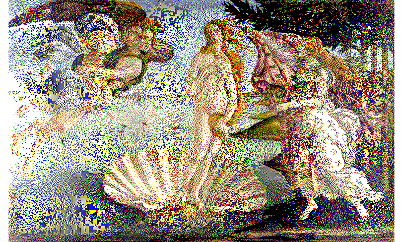 specialized_riemersma