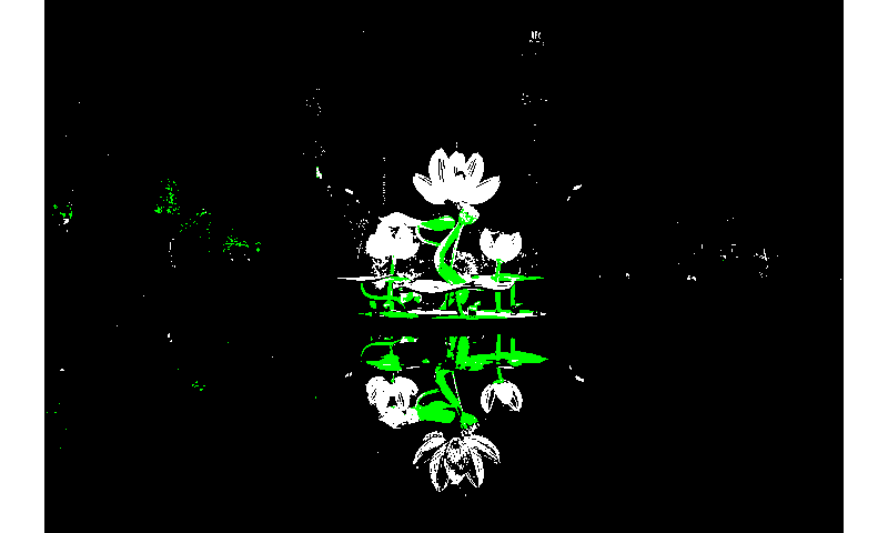 specialized_k_means_quantization