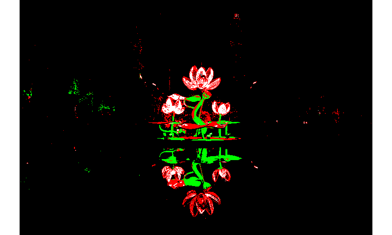 ciede2000_specialized_k_means_quantization