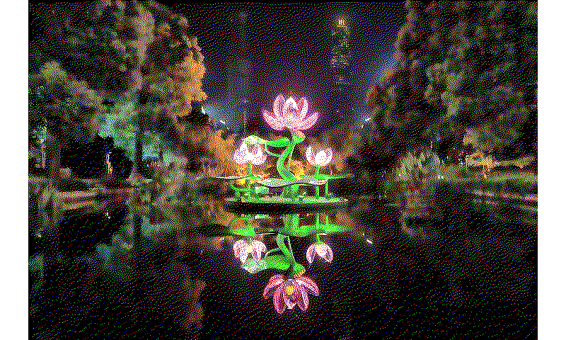 preprocess_combo_medium_error_diffusion_floyd_steinberg