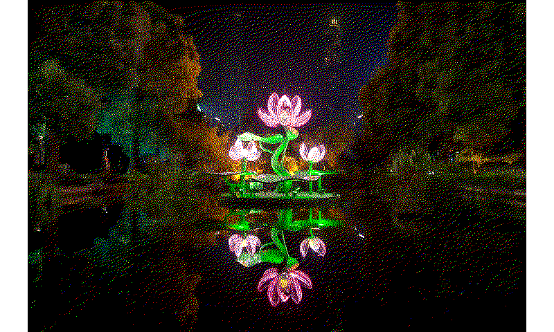 preprocess_bilateral_error_diffusion_floyd_steinberg